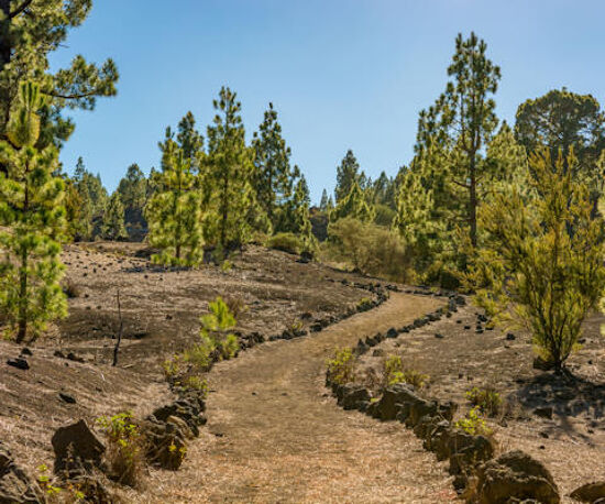 Chinyero Volcano & Erjos