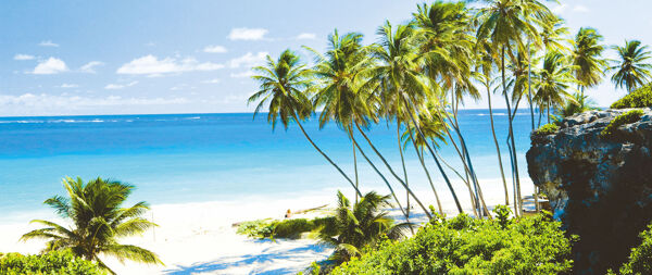 The Best Time to Visit Barbados