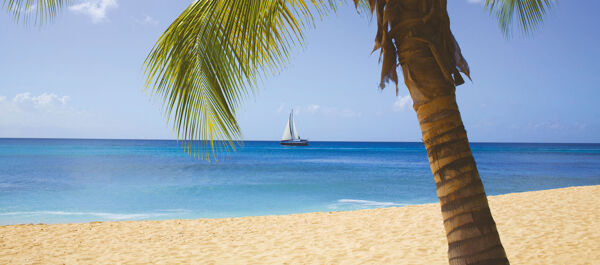 Best Beaches in Barbados