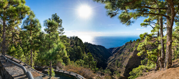 Things to do in La Palma: The Ultimate Guide