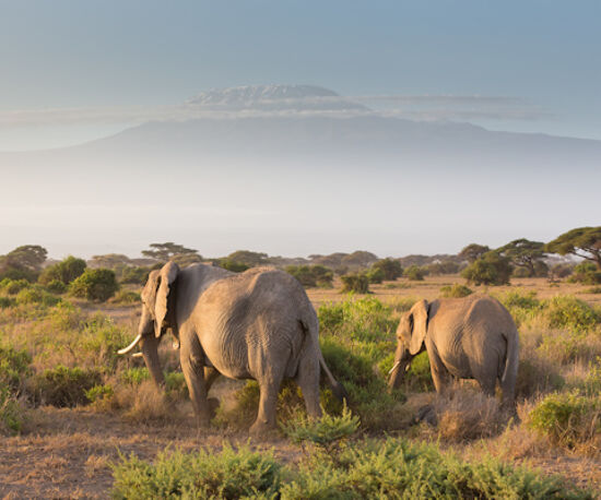 Luxury Flying Tour of Kenya