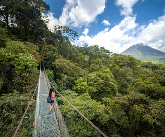 Honeymoon Tour of Costa Rica