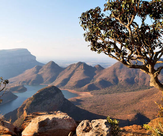 Wildlife Tour of South Africa