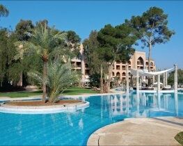 Es Saadi Palace, Thumbnail