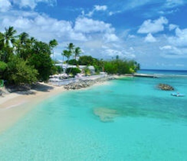 Cobblers Cove, thumbnail