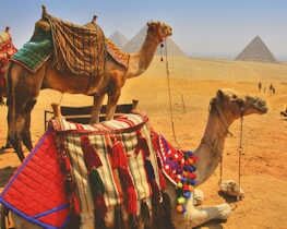 cairo and giza