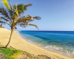 Fuerteventura thumbnail