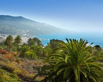 La Palma thumbnail