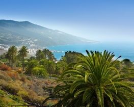La Palma thumbnail