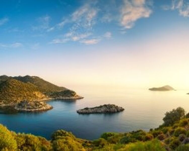 turkey