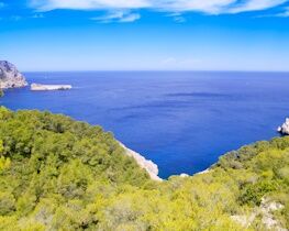 Port de Sant Miquel