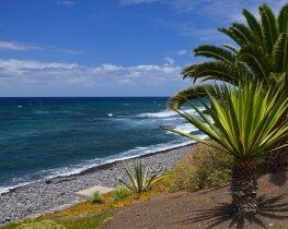 La Caleta, thumbnail