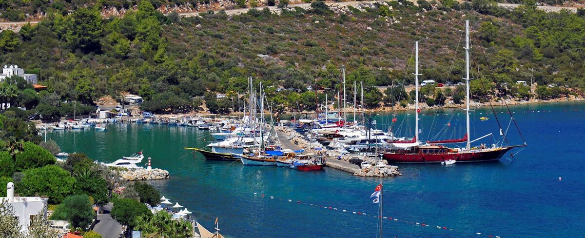 Torba Holidays