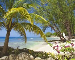 porters, barbados