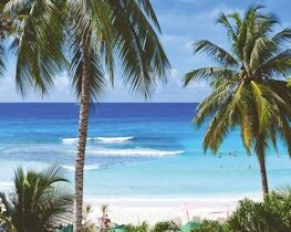 dover holidays, barbados