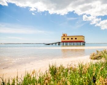 Faro
