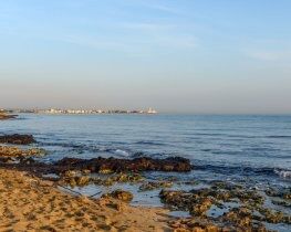 Torre Canne