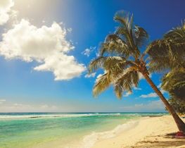 hastings, barbados