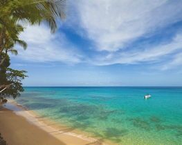 prospect, barbados