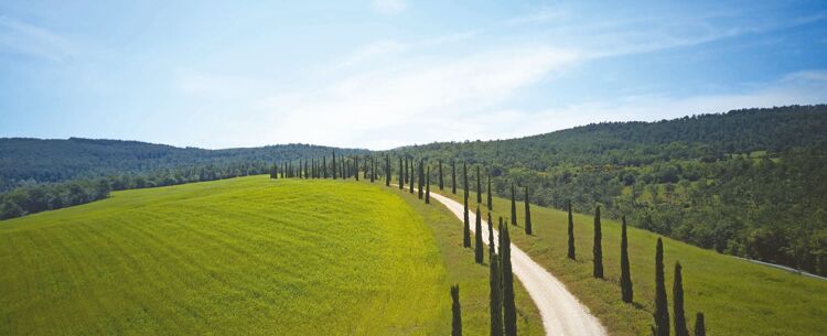 Luxury Casole d'Elsa Holidays