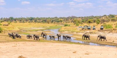 Highlights of Tanzania, Tarangire national park