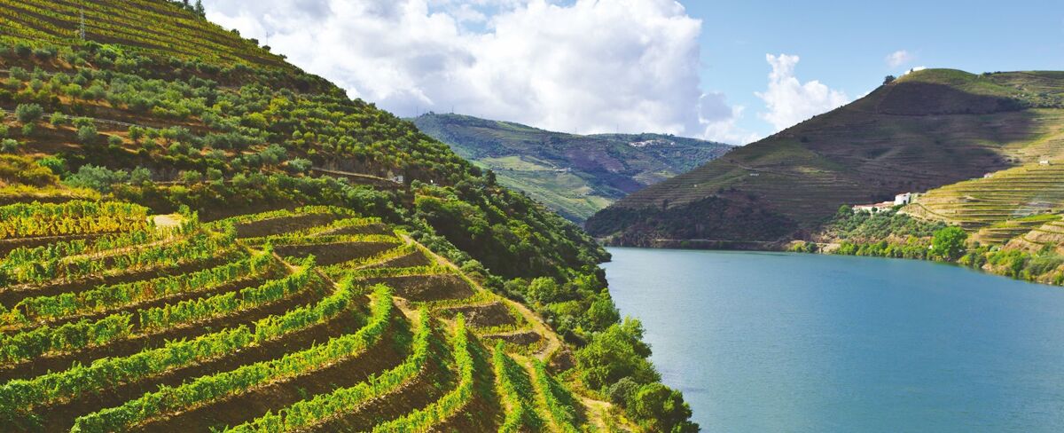 Luxury Douro Valley Holidays