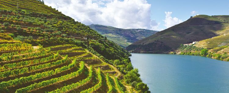 Luxury Douro Valley Holidays