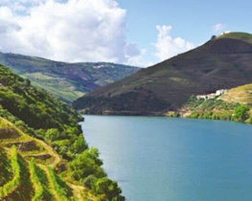 Douro valley thumbnail