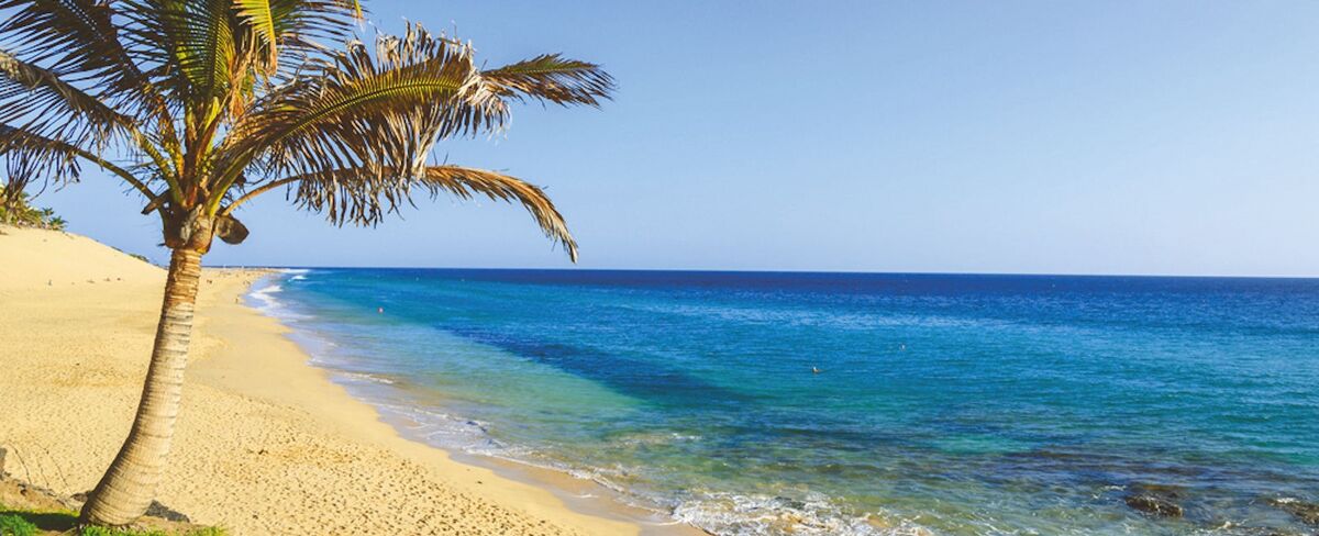 Luxury Fuerteventura Holidays
